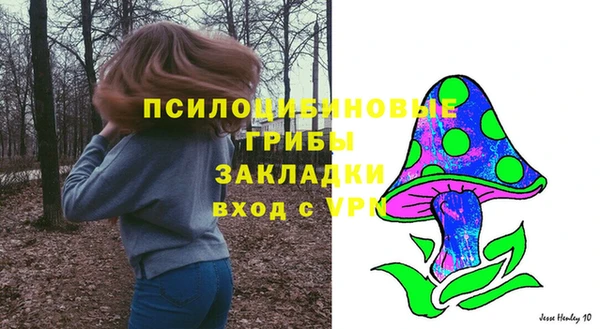 ПСИЛОЦИБИНОВЫЕ ГРИБЫ Абинск