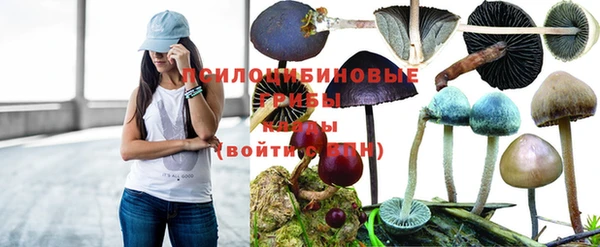 ПСИЛОЦИБИНОВЫЕ ГРИБЫ Абинск