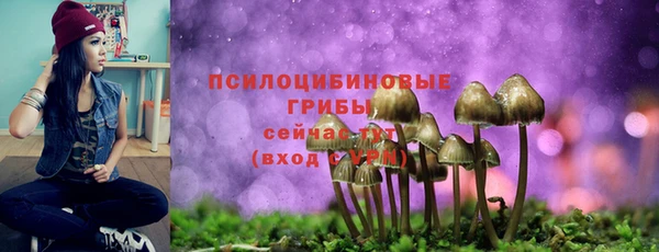 эйфоретик Абдулино
