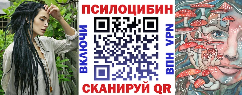 Псилоцибиновые грибы Psilocybine cubensis  Оренбург 