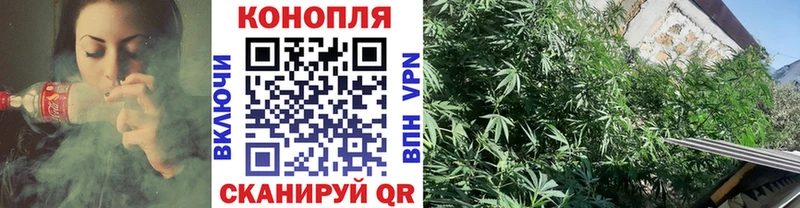блэк спрут ссылка  Оренбург  Каннабис индика 
